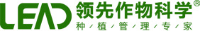 領(lǐng)先官網(wǎng)